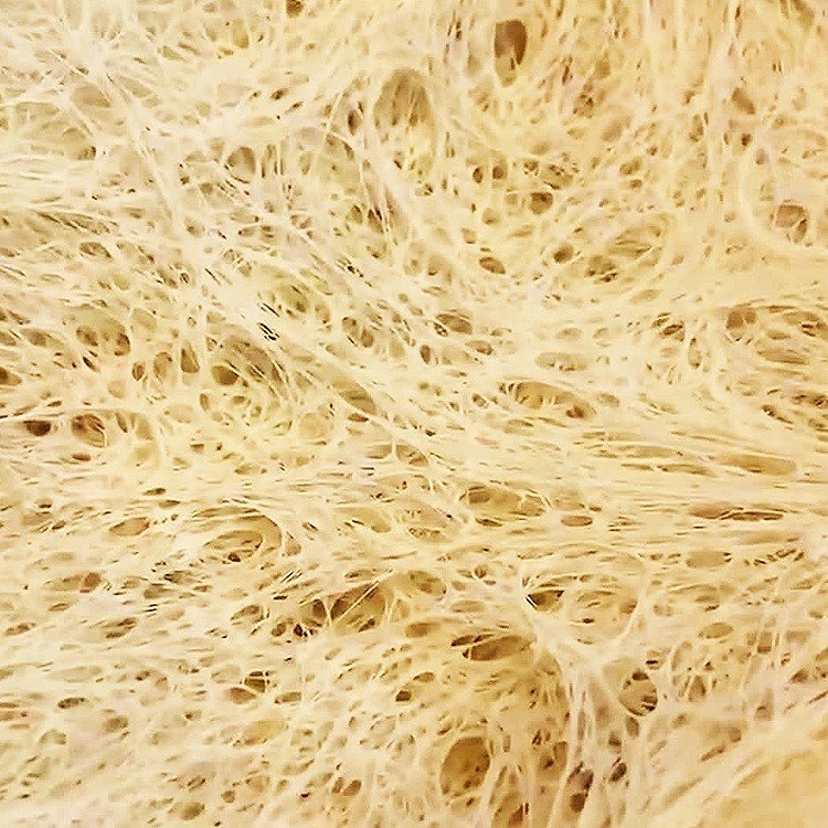 active dry and instant yeast active dry and instant yeast